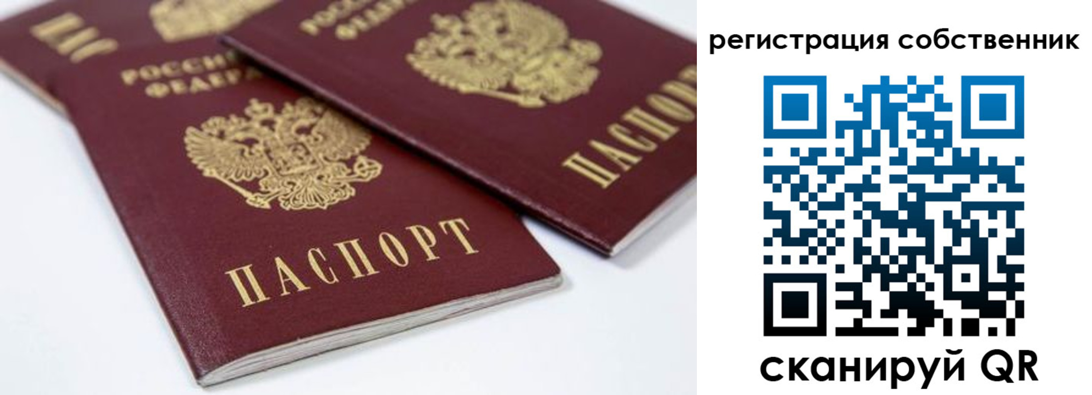 прописка для школы в Покрове